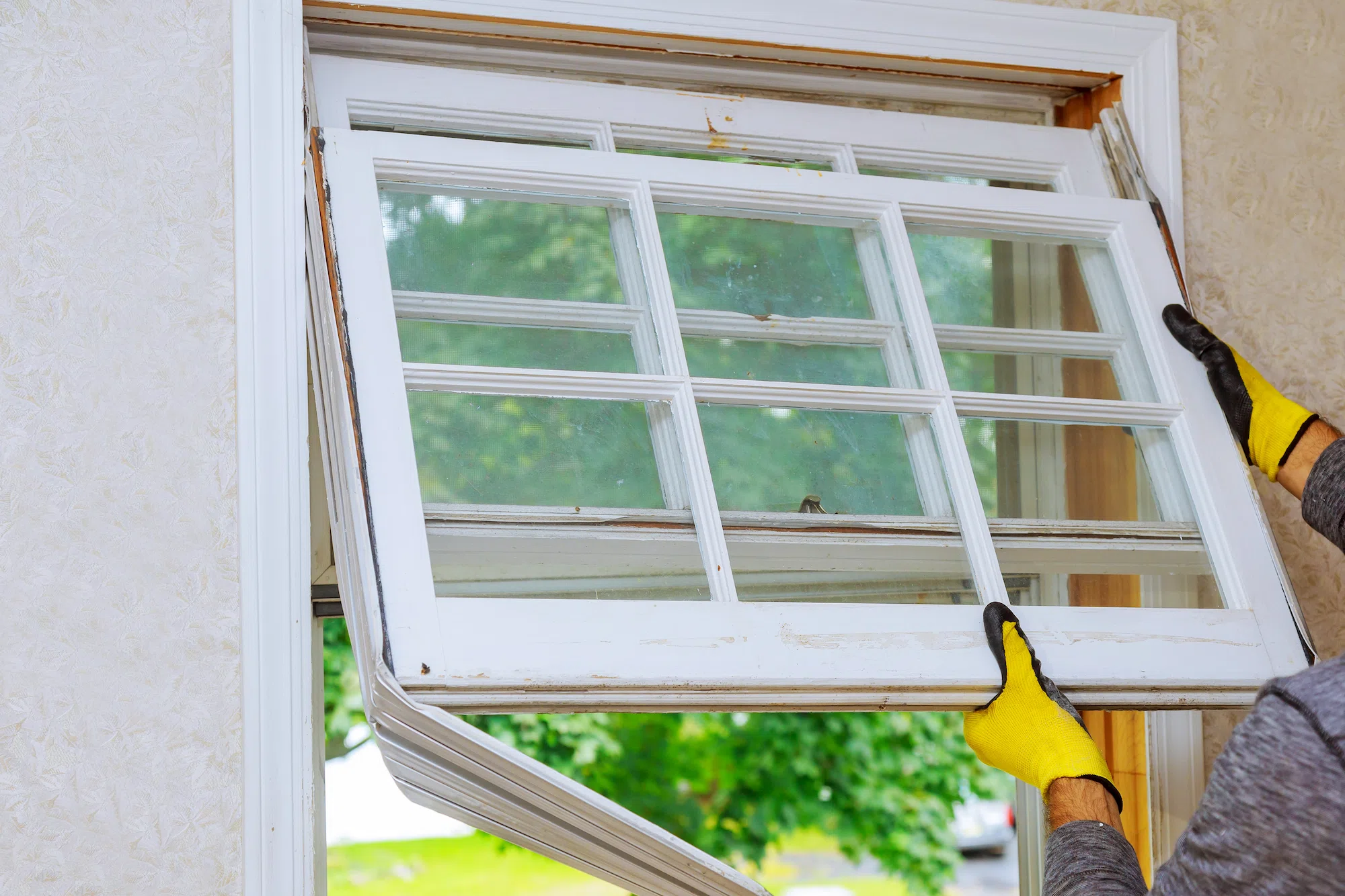 Home Improvement - replacement of Window