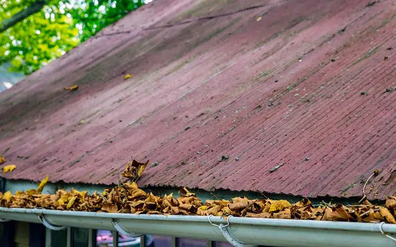 gutters filled with leaves.