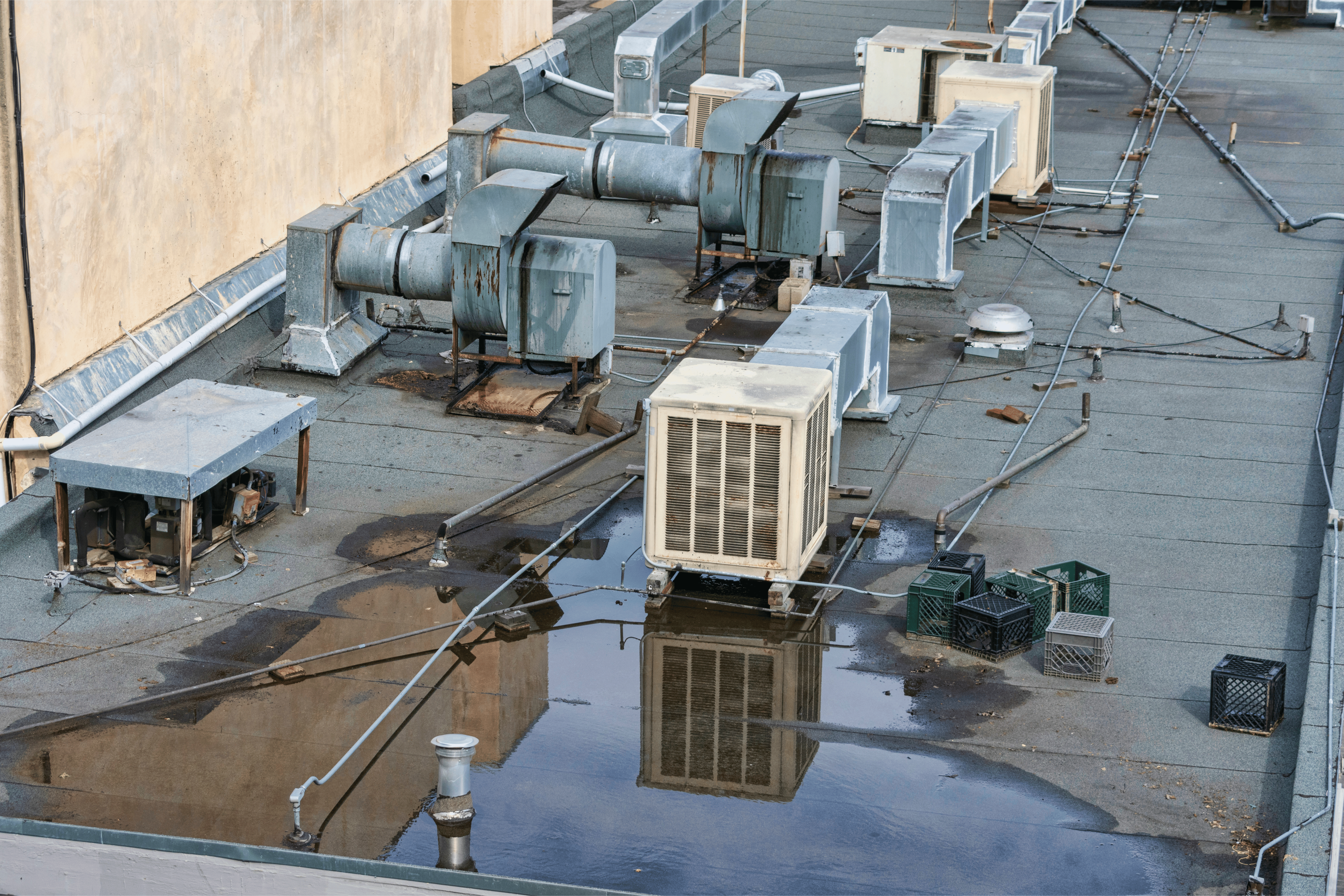 Best Practices to Prevent Commercial Roof Leaks
