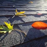 Flat Roof Drainage Problems Every Property Manager Should Know Before Fall Weather Strikes