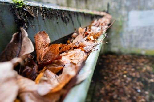 gutter full of leaves